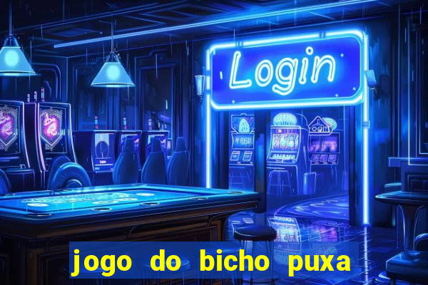 jogo do bicho puxa de dona maria